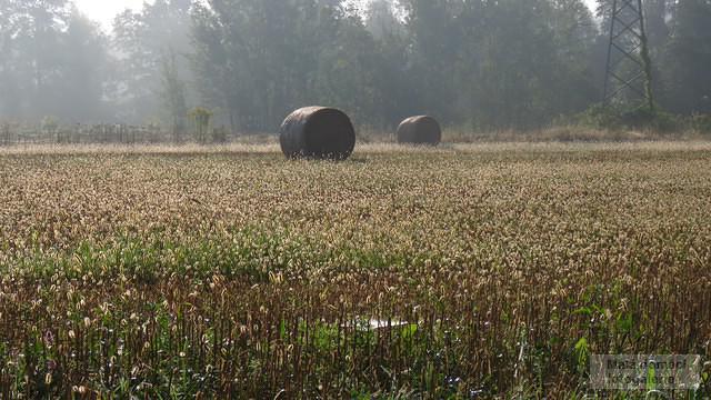 Balíky