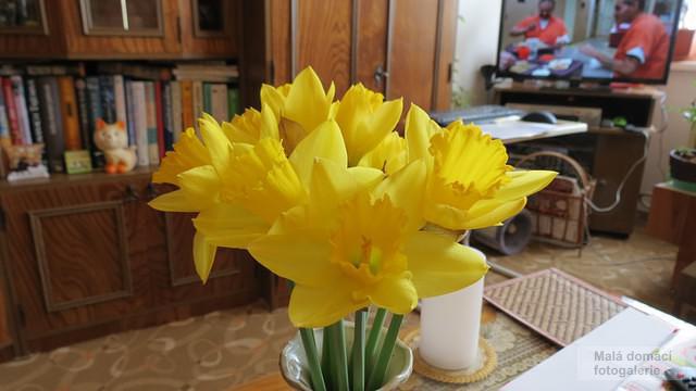 Narcisy