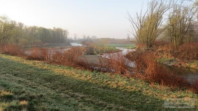 Meandr řeky Olše