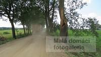 Co lze potkat na cyklostezce 6257