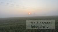 Mlha na poli