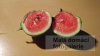 Meloun 1